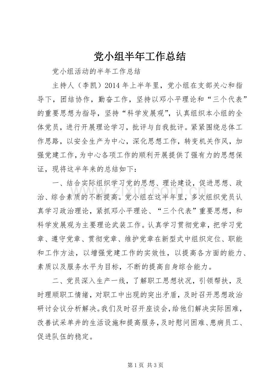 党小组半年工作总结 .docx_第1页