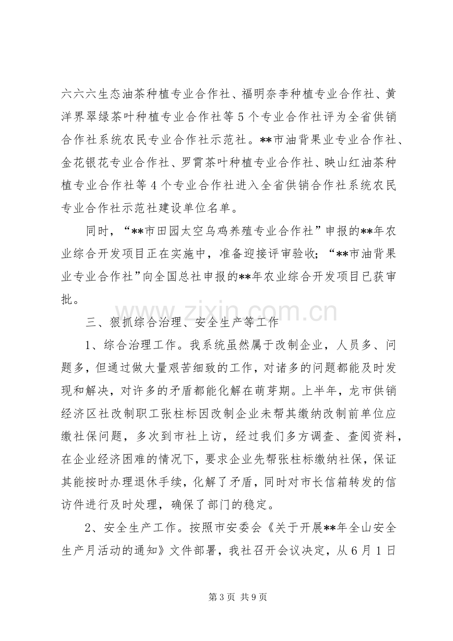 供销社半年工作总结及下半年工作打算 .docx_第3页