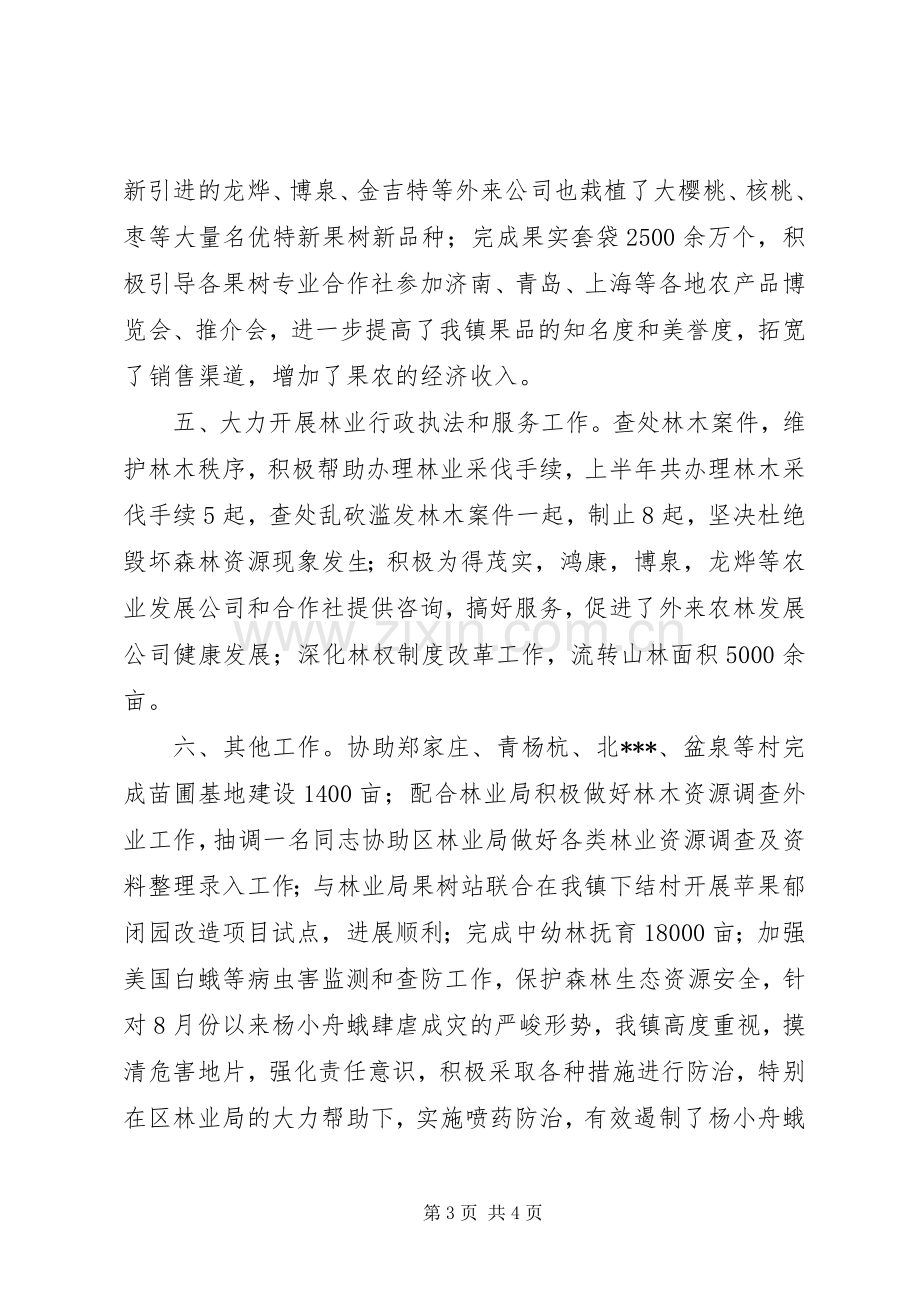 乡镇林业站年终工作总结 .docx_第3页