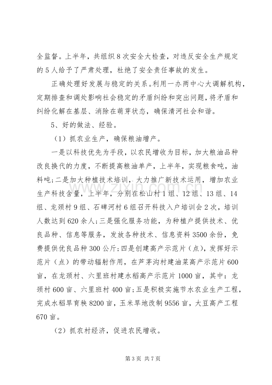 上半年乡镇工作总结 .docx_第3页