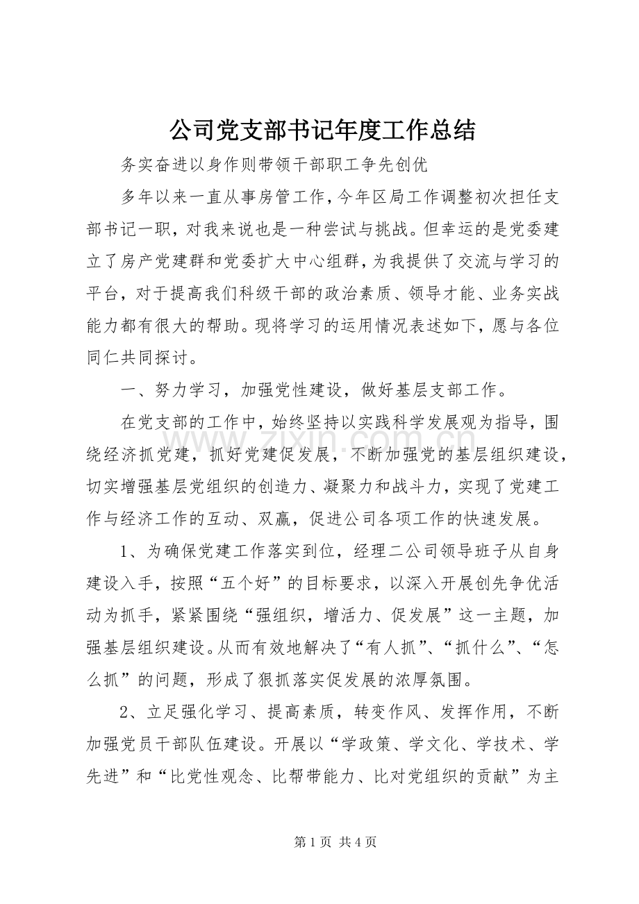 公司党支部书记年度工作总结 .docx_第1页