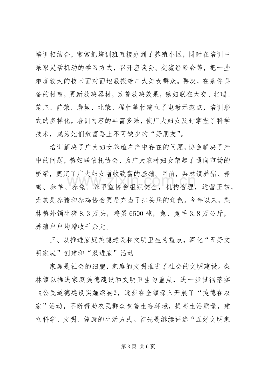 乡镇妇联工作总结 (22).docx_第3页