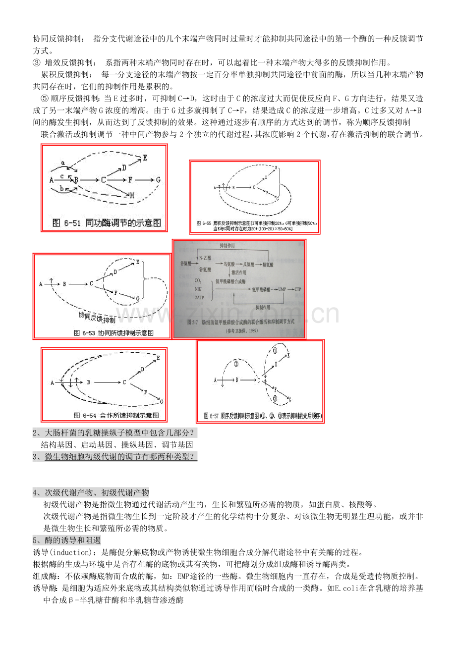 微生物工程期末复习习题及全部答案.docx_第2页