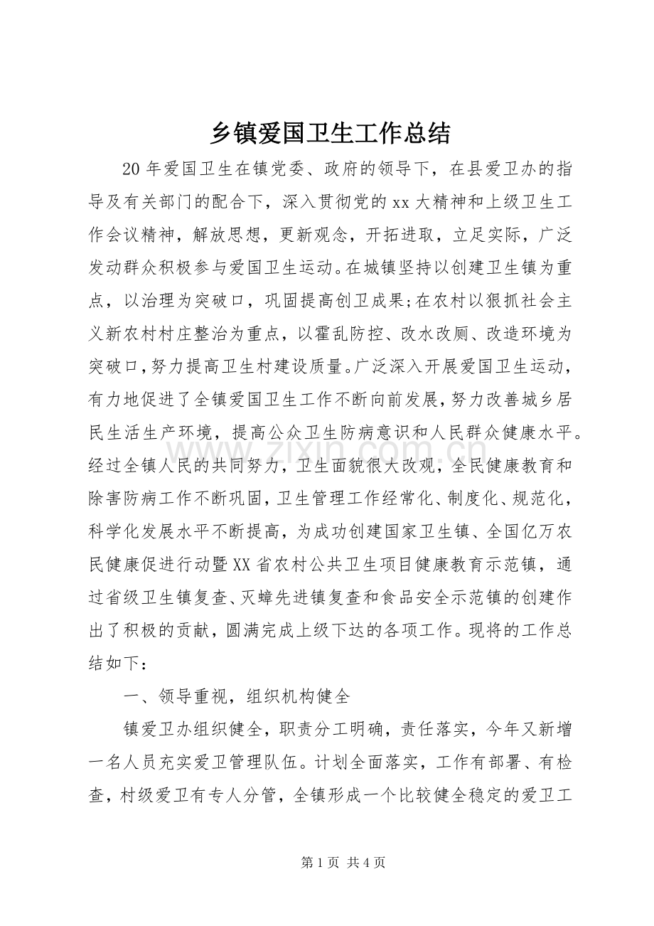 乡镇爱国卫生工作总结 .docx_第1页