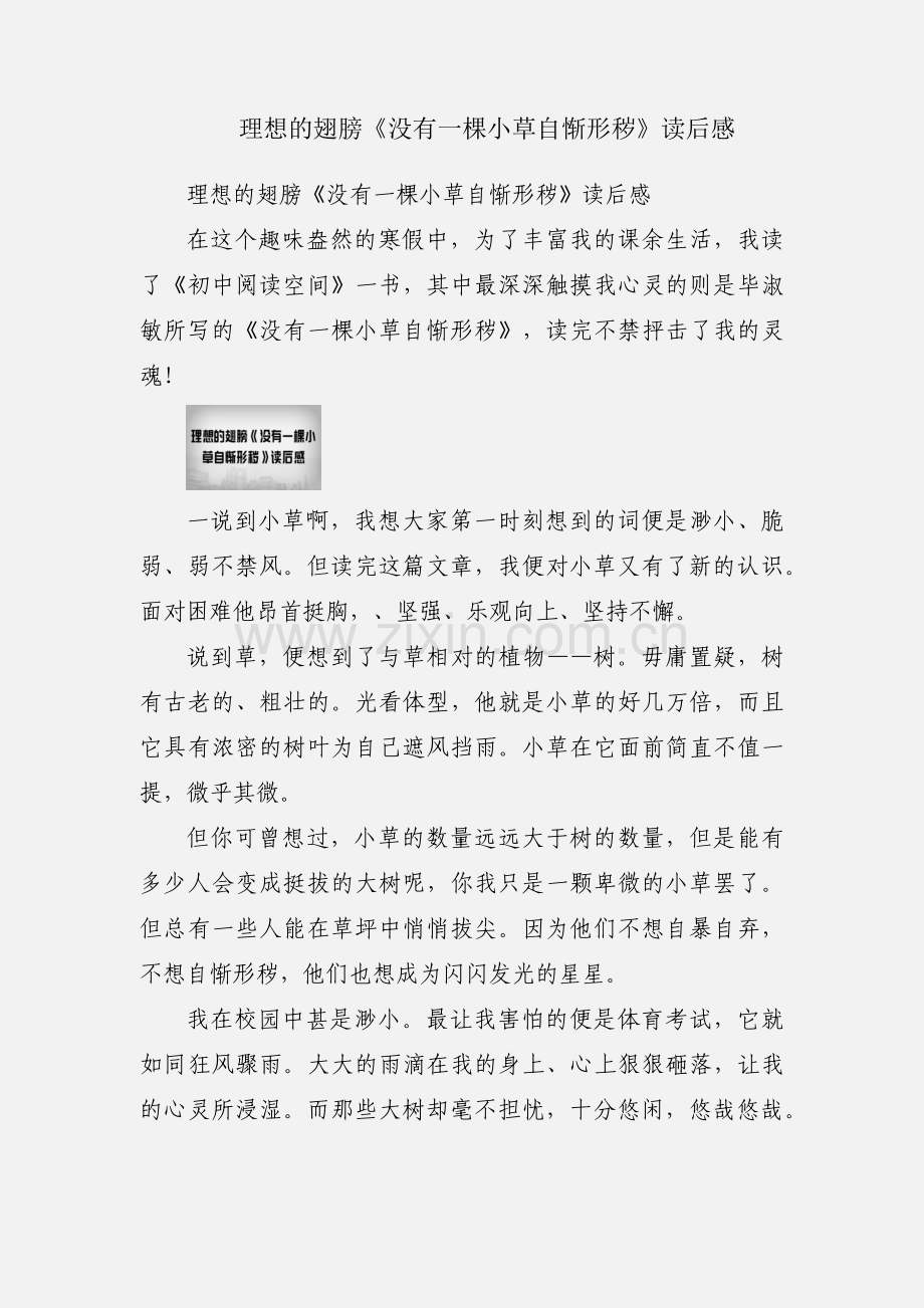 理想的翅膀《没有一棵小草自惭形秽》读后感.docx_第1页