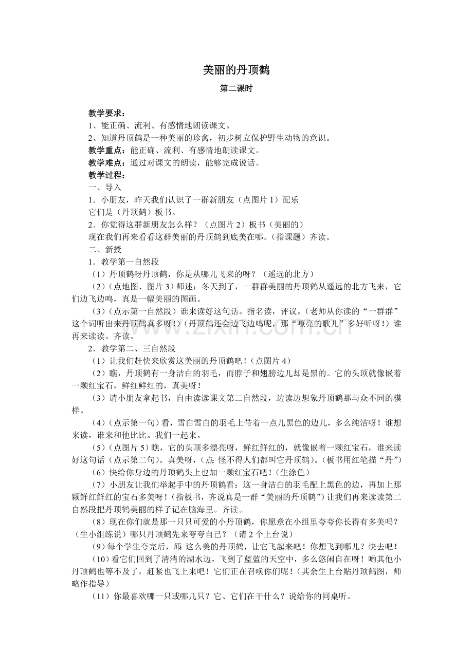 美丽的丹顶鹤第二课时.doc_第1页