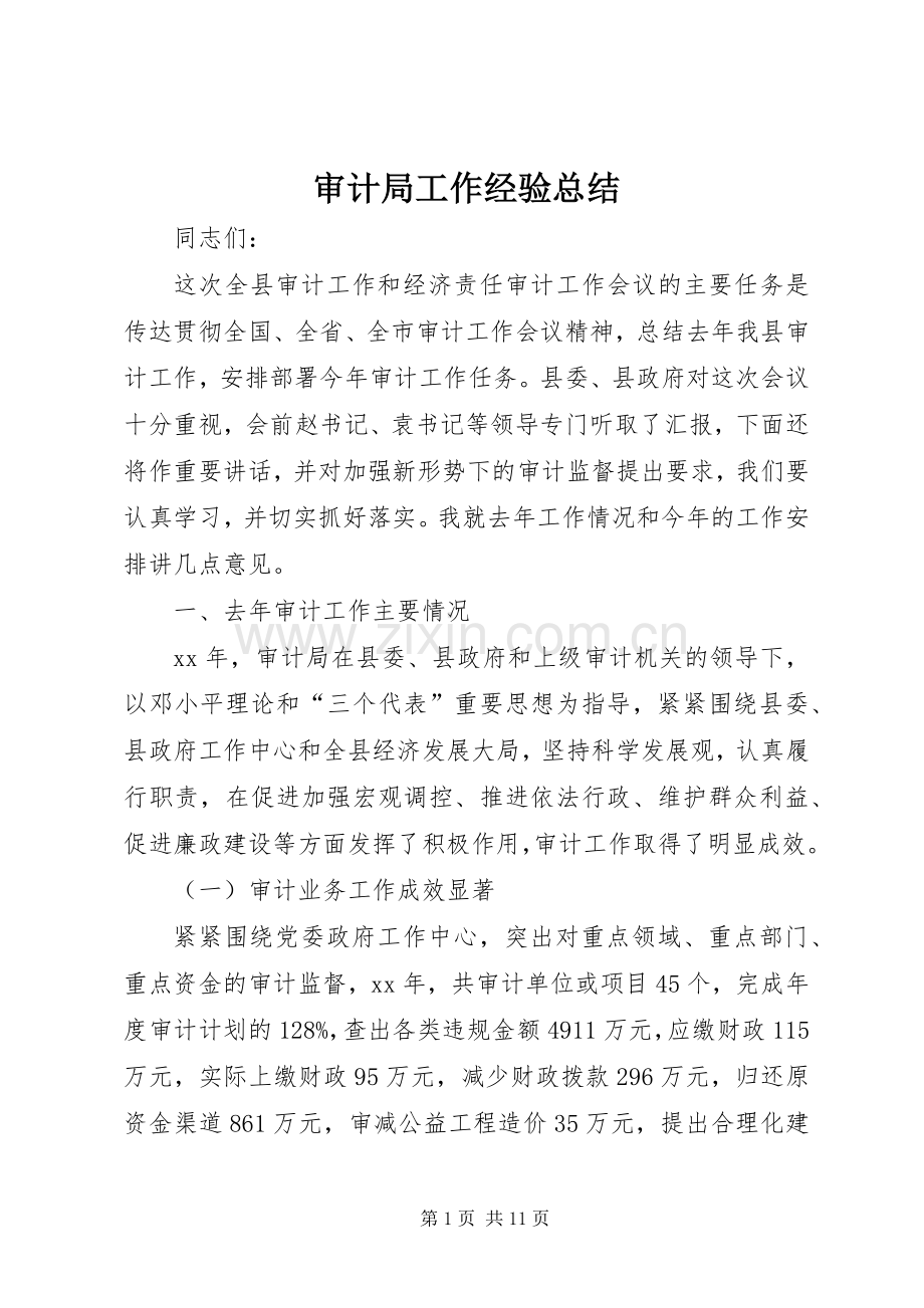 审计局工作经验总结 .docx_第1页