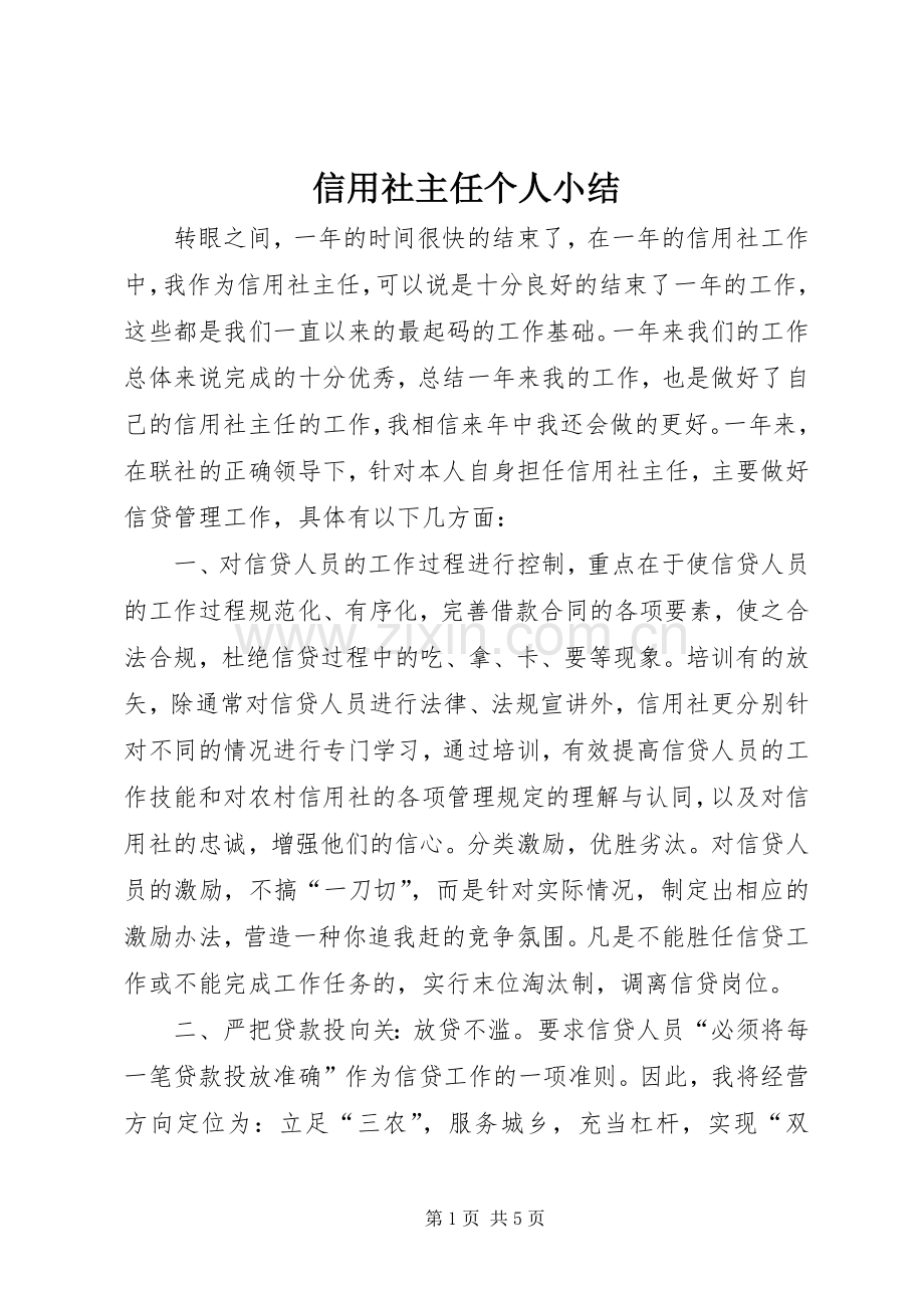 信用社主任个人小结 .docx_第1页