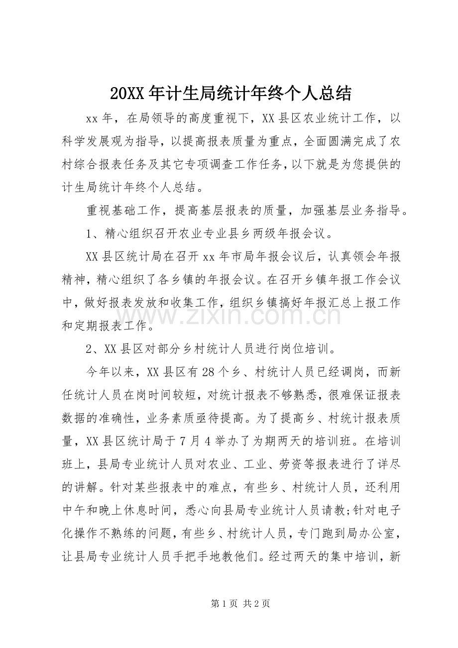 20XX年计生局统计年终个人总结.docx_第1页