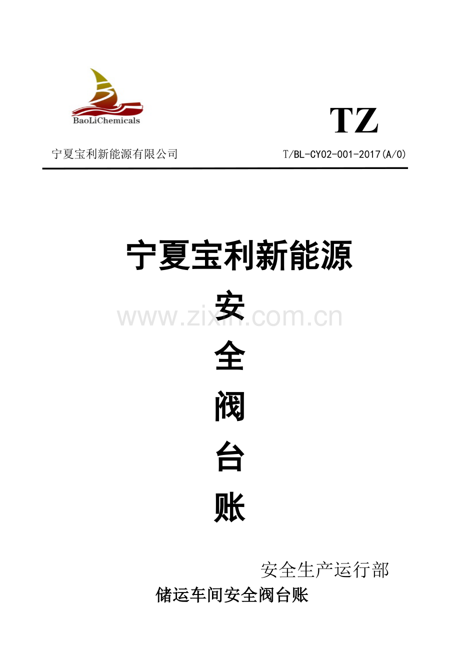 新能源安全阀台账培训资料.docx_第1页