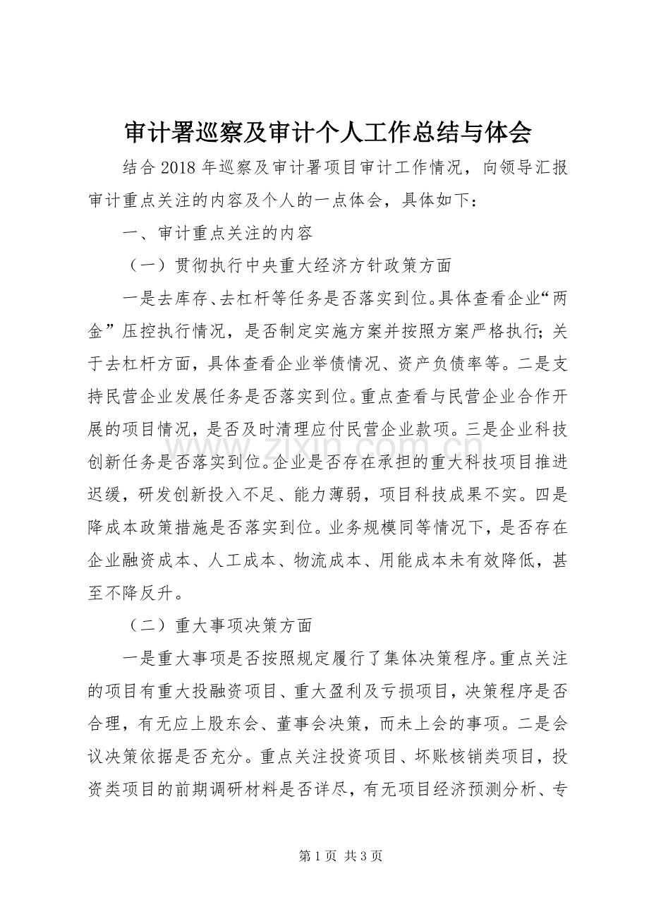 审计署巡察及审计个人工作总结与体会 .docx_第1页