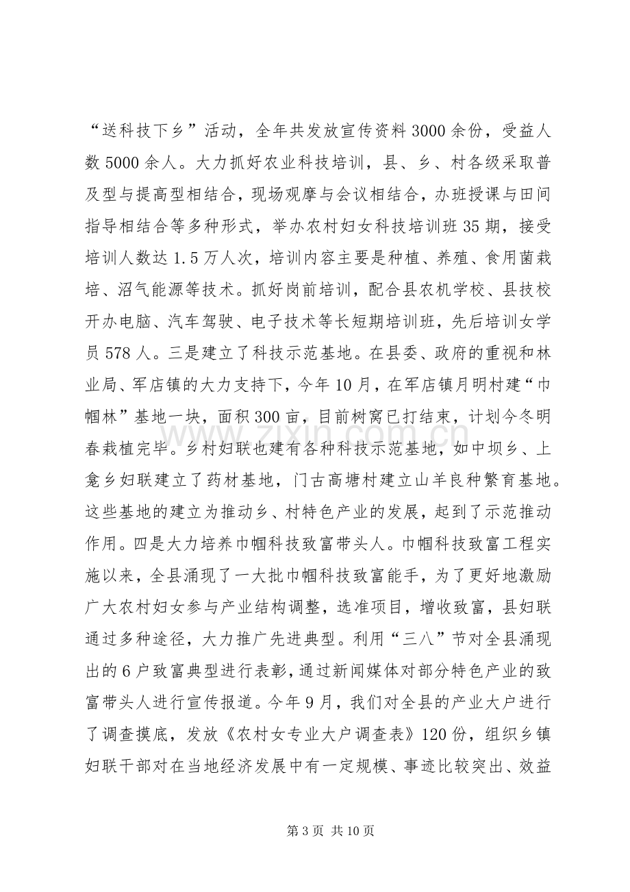 乡镇妇联工作总结 (21).docx_第3页