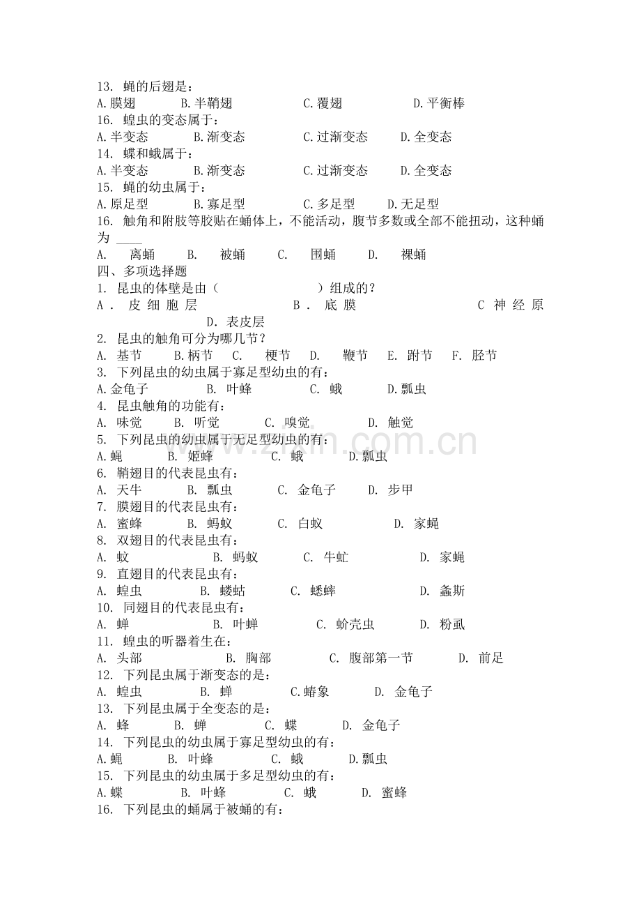 园林植物昆虫基础知识.docx_第2页