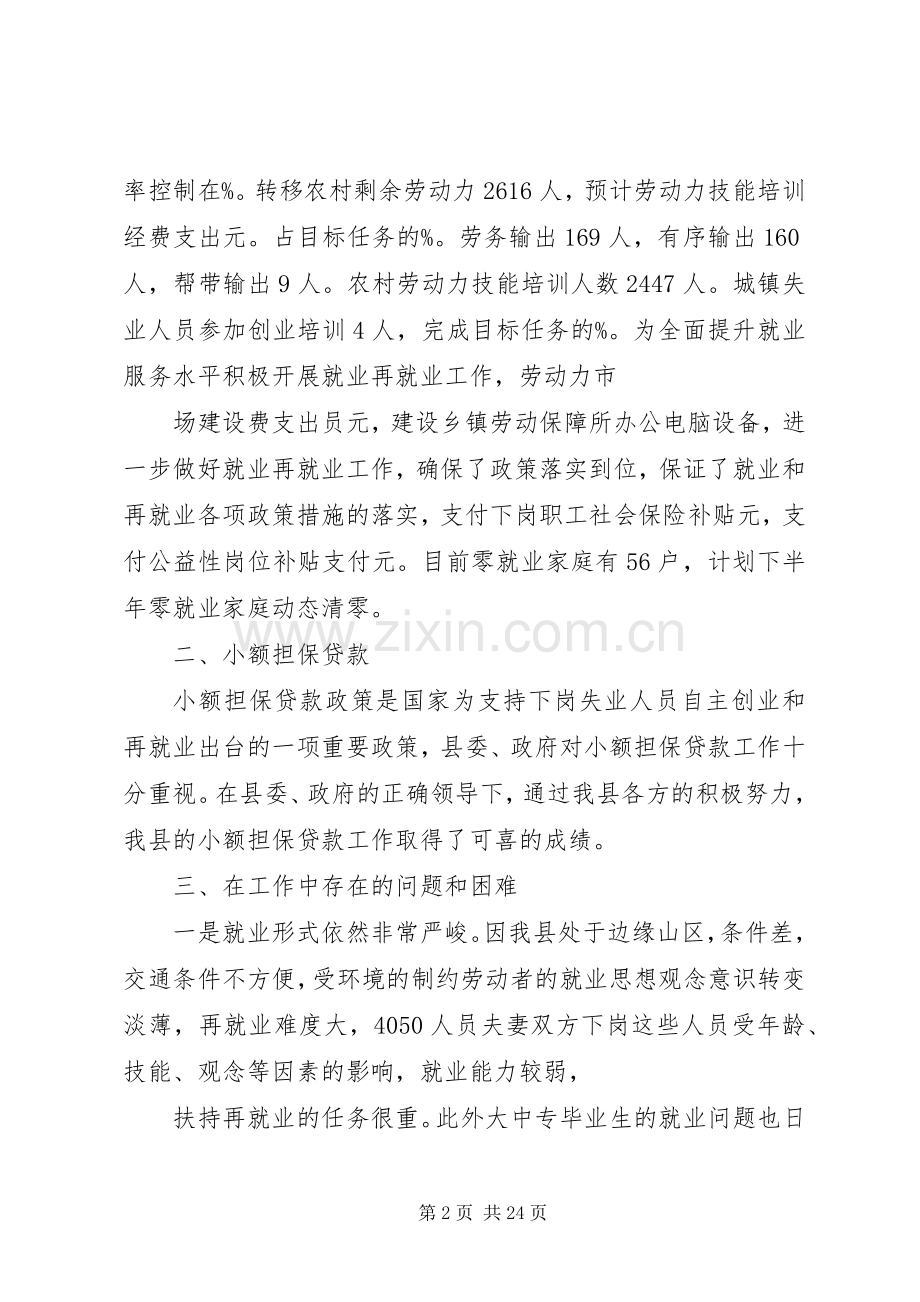 劳动就业服务局工作总结 .docx_第2页