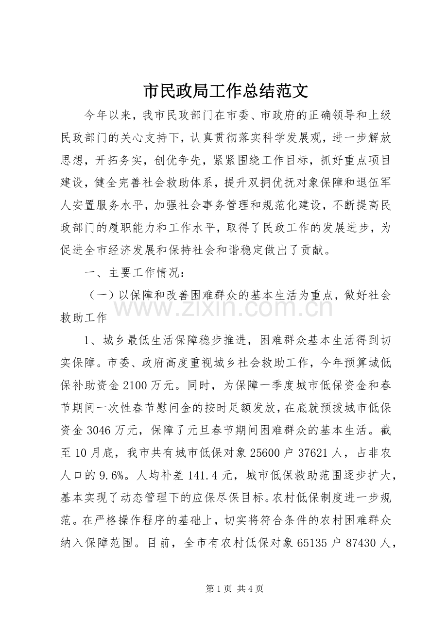 市民政局工作总结范文 .docx_第1页