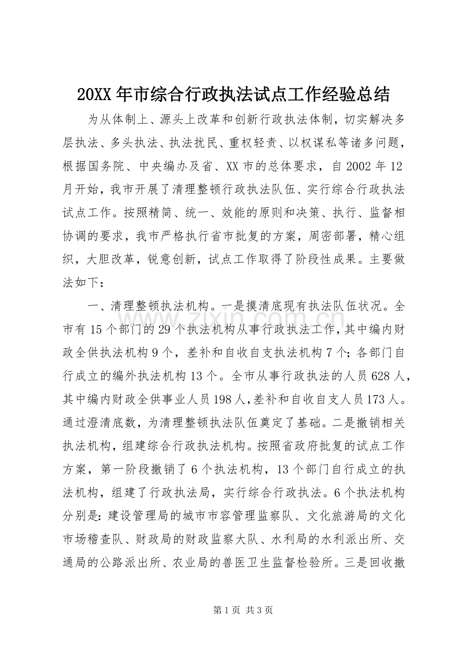 20XX年市综合行政执法试点工作经验总结.docx_第1页