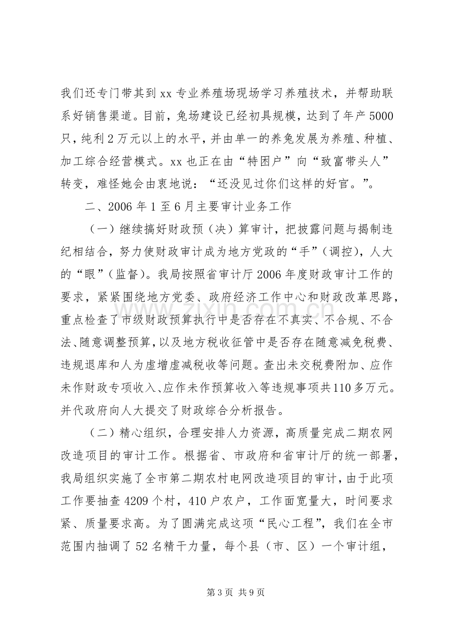 上半年审计工作总结 .docx_第3页