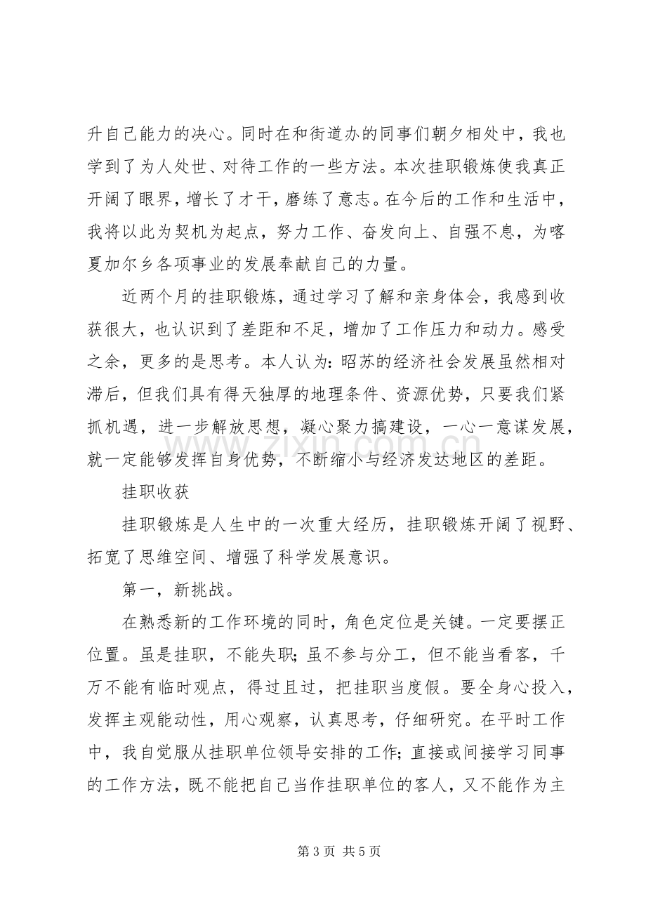 街道办事处挂职学习体会心得.docx_第3页