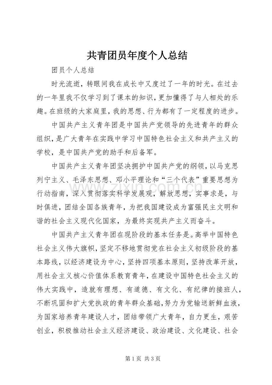 共青团员年度个人总结 .docx_第1页