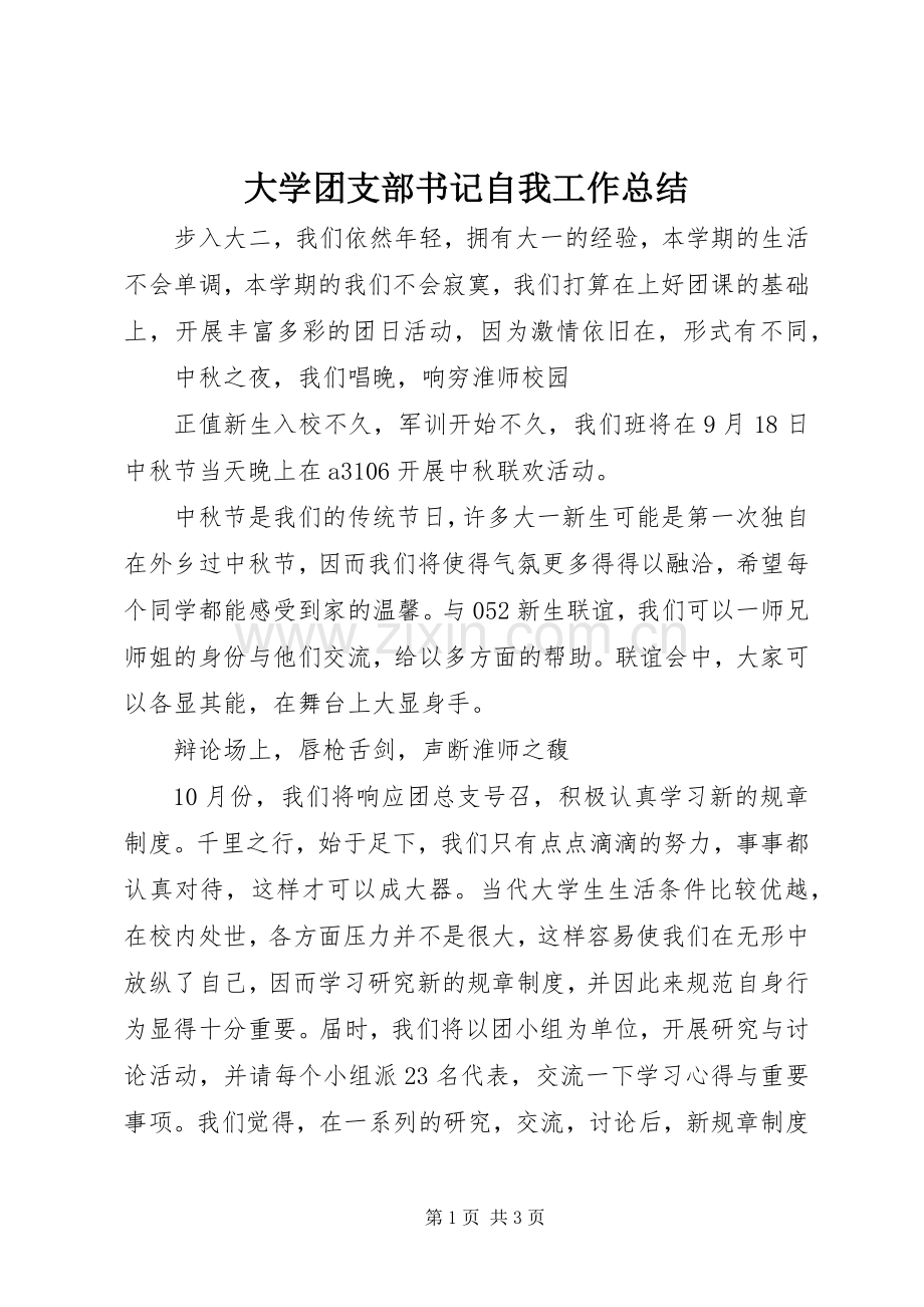 大学团支部书记自我工作总结 .docx_第1页