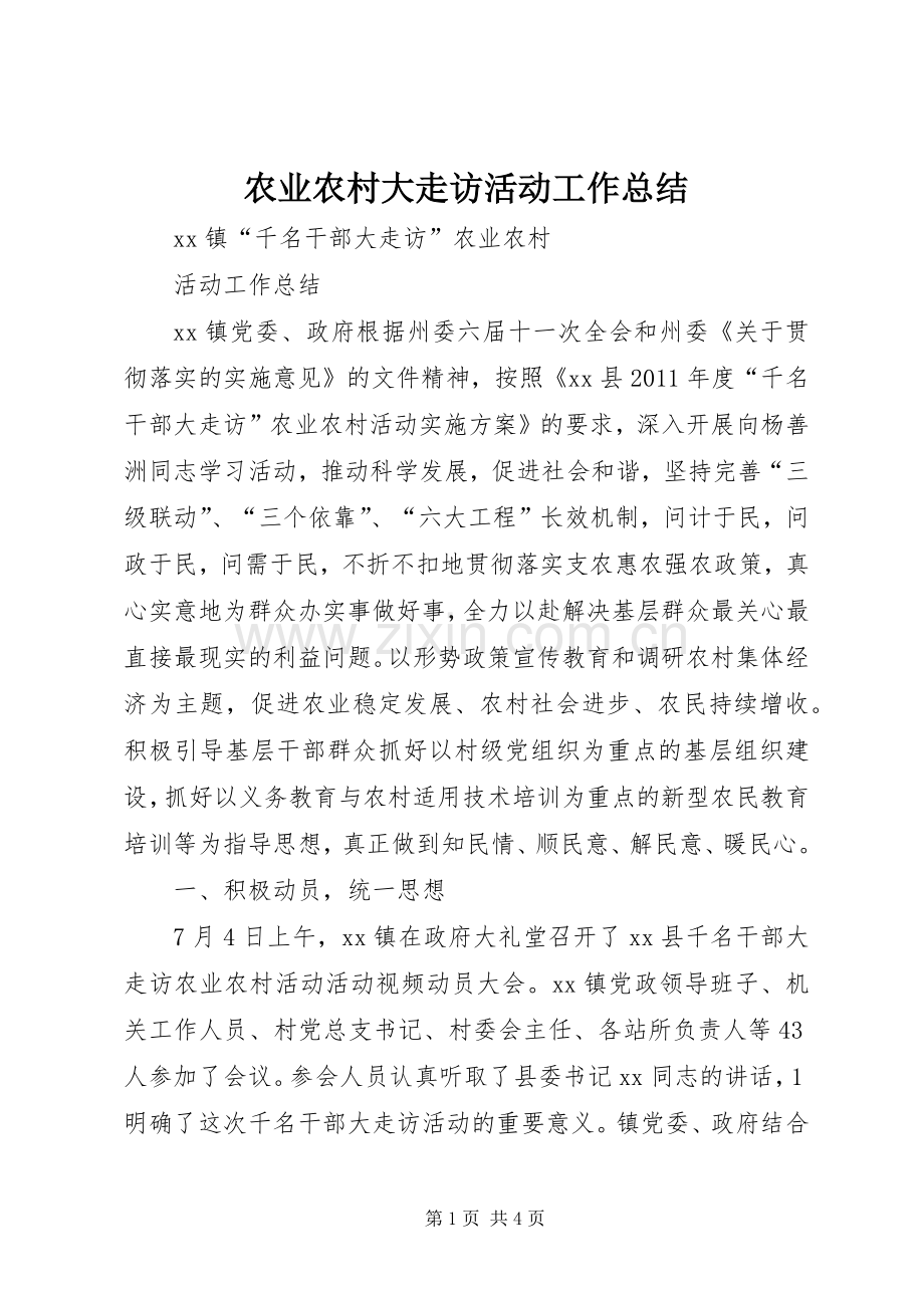 农业农村大走访活动工作总结 .docx_第1页