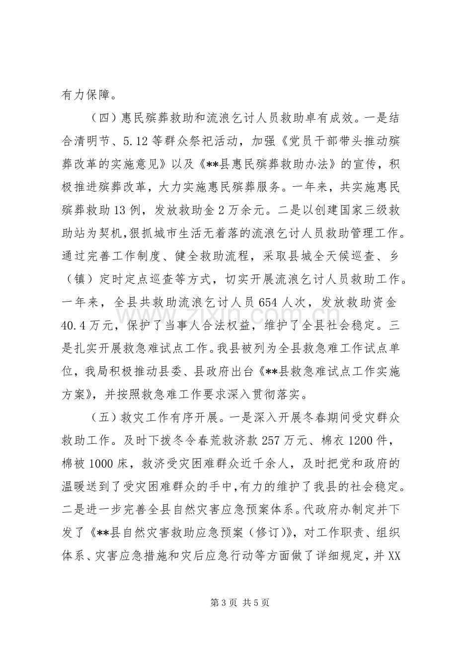 202X年度民政工作总结.docx_第3页