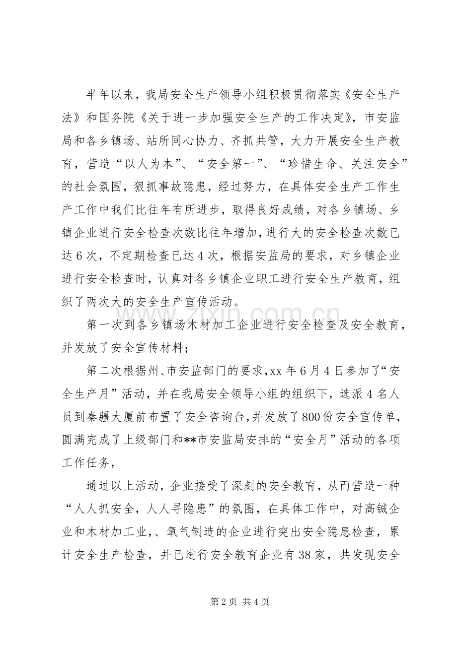 乡镇企业XX上半年安全生产工作总结 .docx_第2页