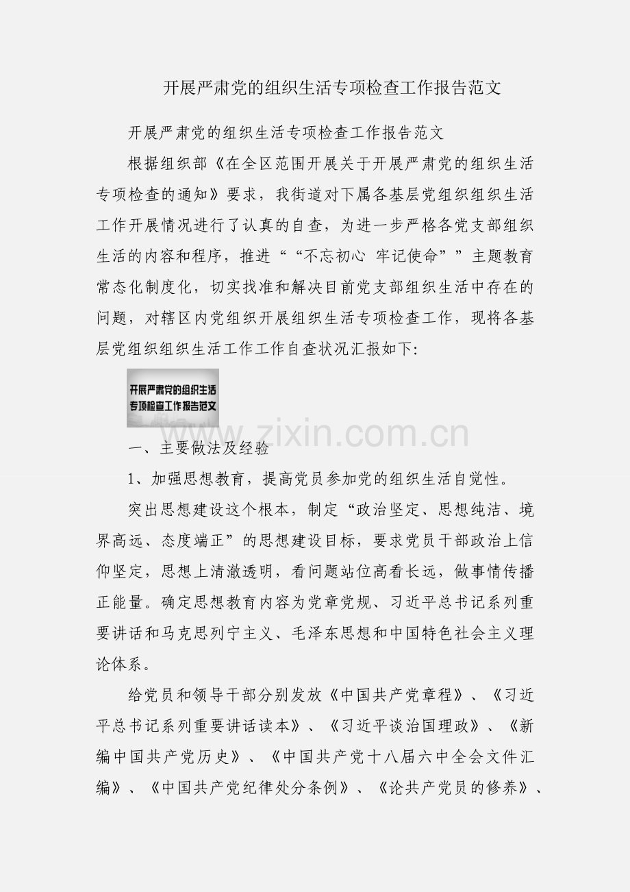 开展严肃党的组织生活专项检查工作报告范文.docx_第1页