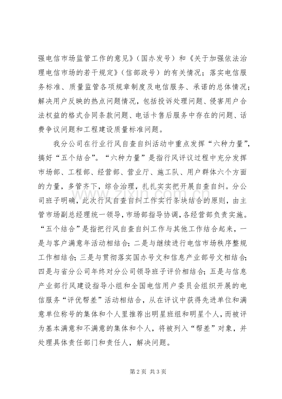 分公司行风自查自纠工作总结 .docx_第2页