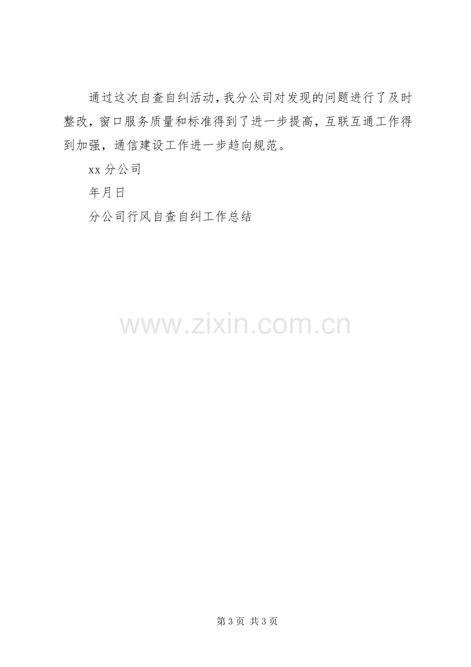 分公司行风自查自纠工作总结 .docx_第3页