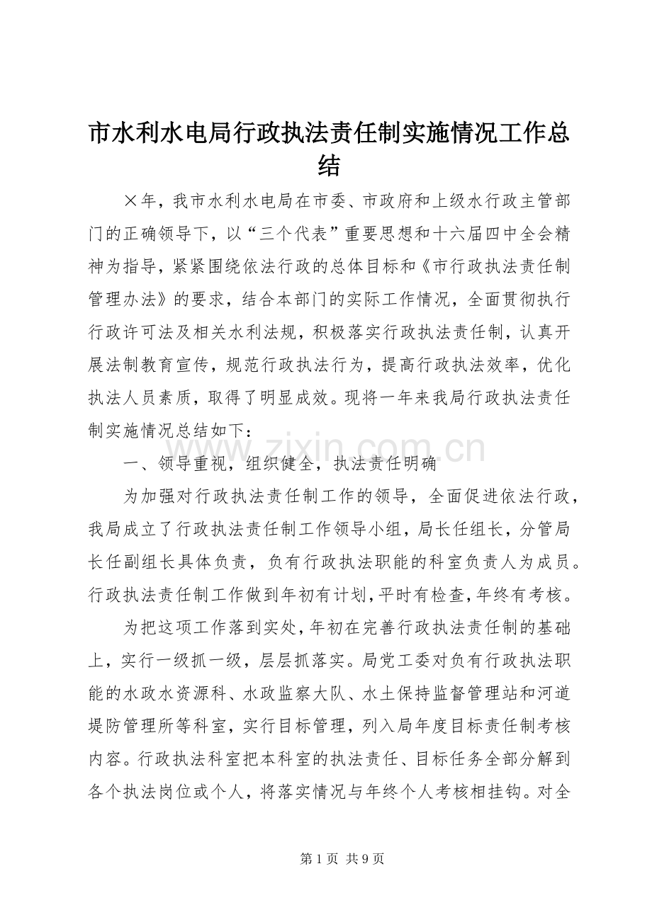 市水利水电局行政执法责任制实施情况工作总结 .docx_第1页