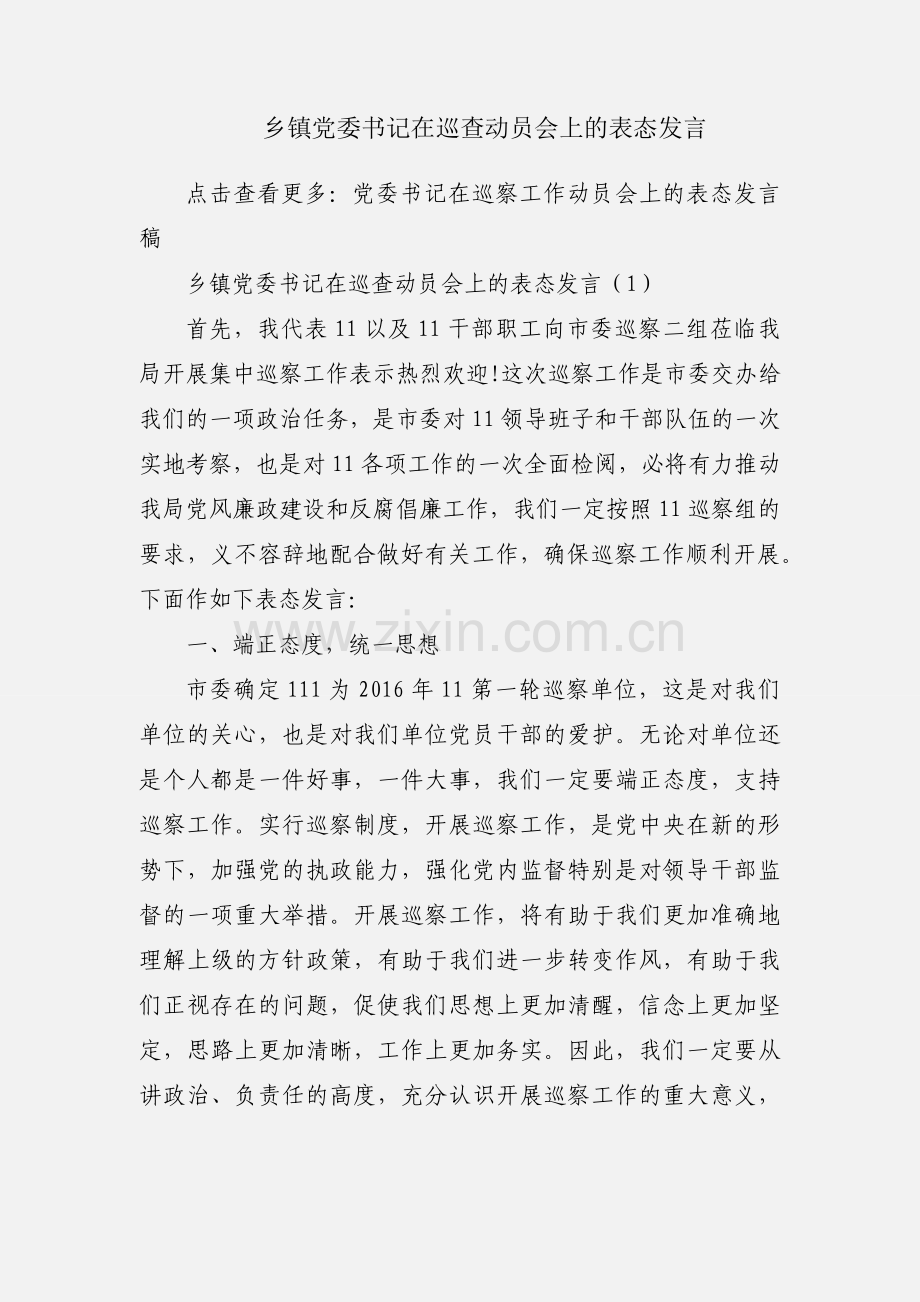 乡镇党委书记在巡查动员会上的表态发言.docx_第1页