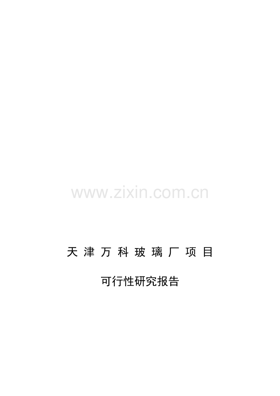 天津某地产水晶城可行性研究报告.docx_第1页