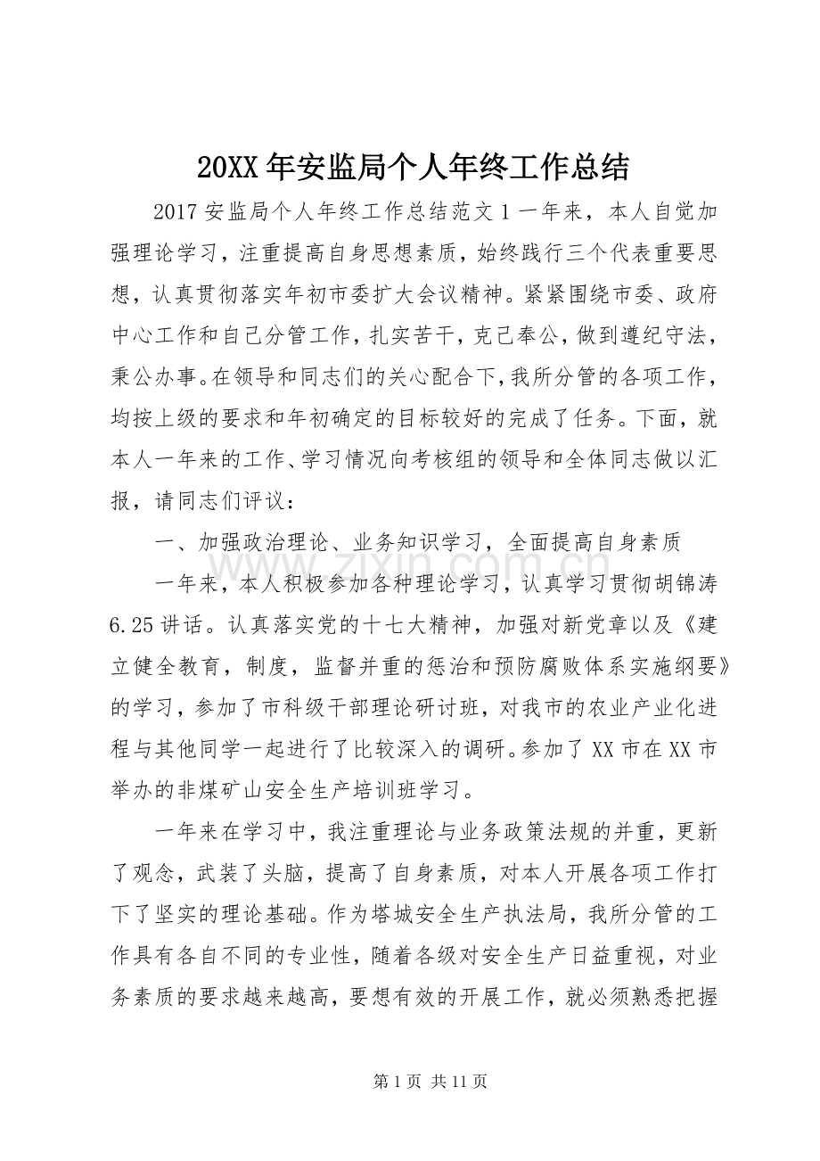 20XX年安监局个人年终工作总结.docx_第1页