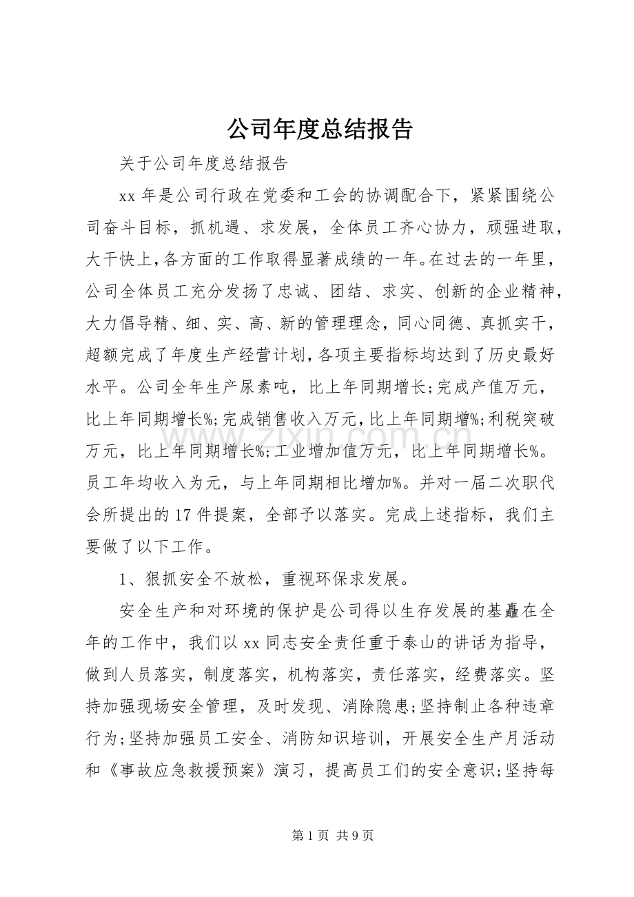 公司年度总结报告 .docx_第1页