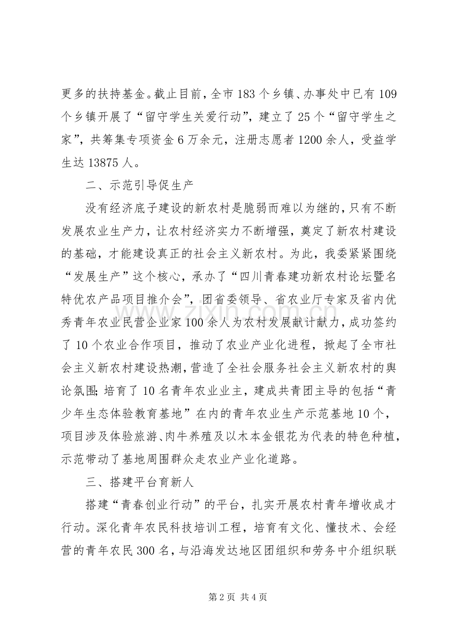 共青团市委新农村建设工作小结 .docx_第2页