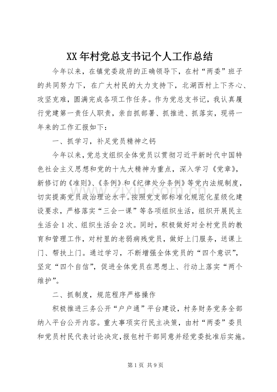 XX年村党总支书记个人工作总结 .docx_第1页