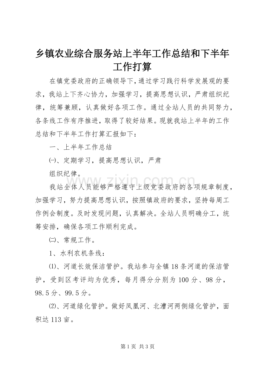 乡镇农业综合服务站上半年工作总结和下半年工作打算 .docx_第1页