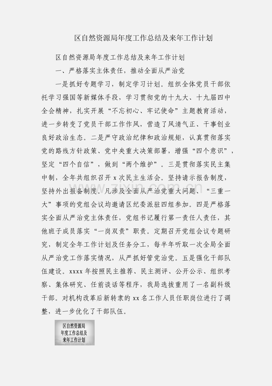 区自然资源局年度工作总结及来年工作计划.docx_第1页