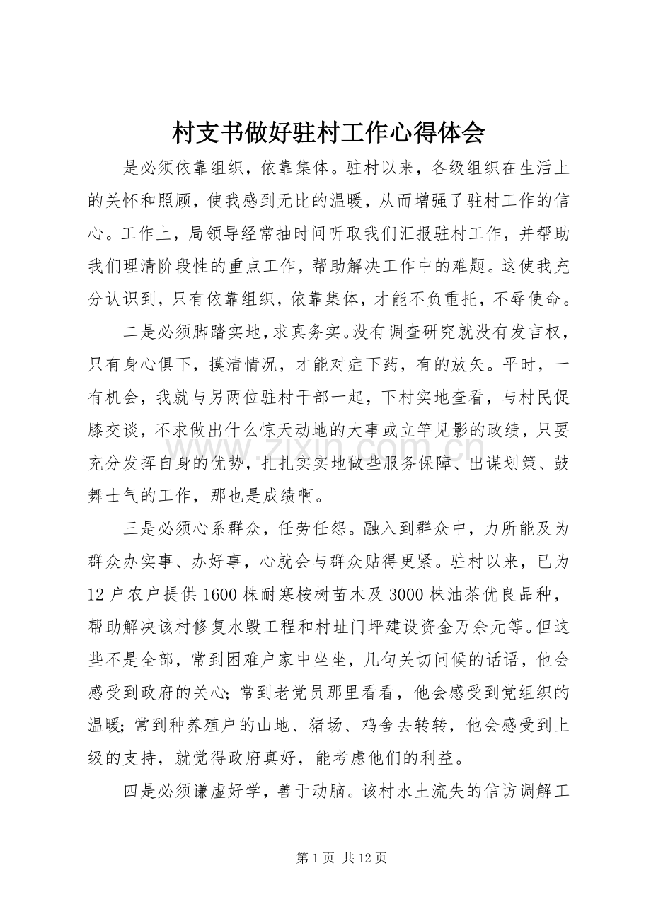 村支书做好驻村工作体会心得.docx_第1页