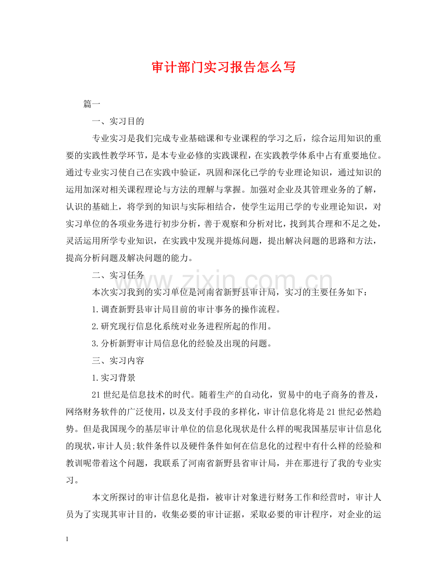 审计部门实习报告怎么写 .doc_第1页