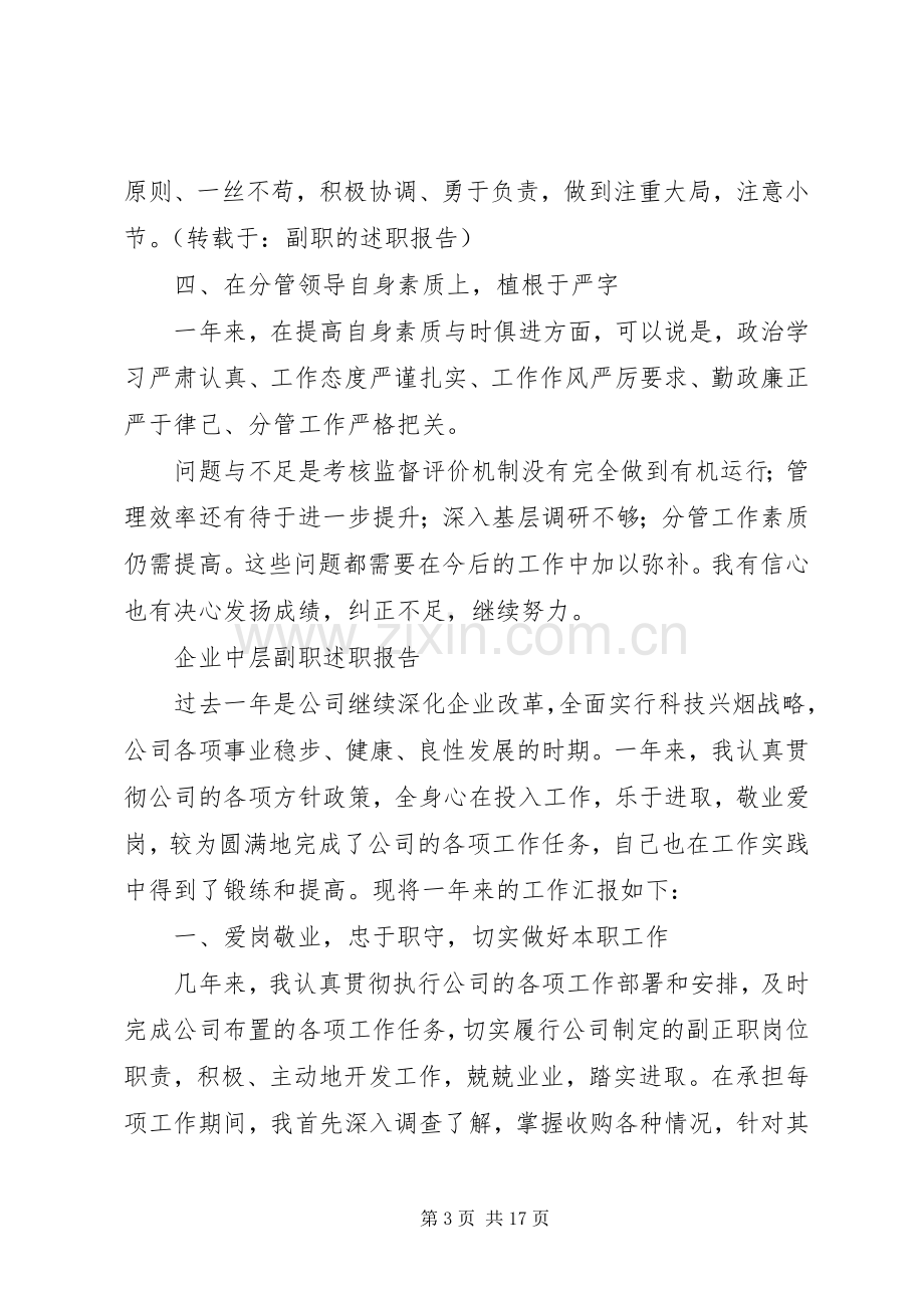 副职的述职报告.docx_第3页