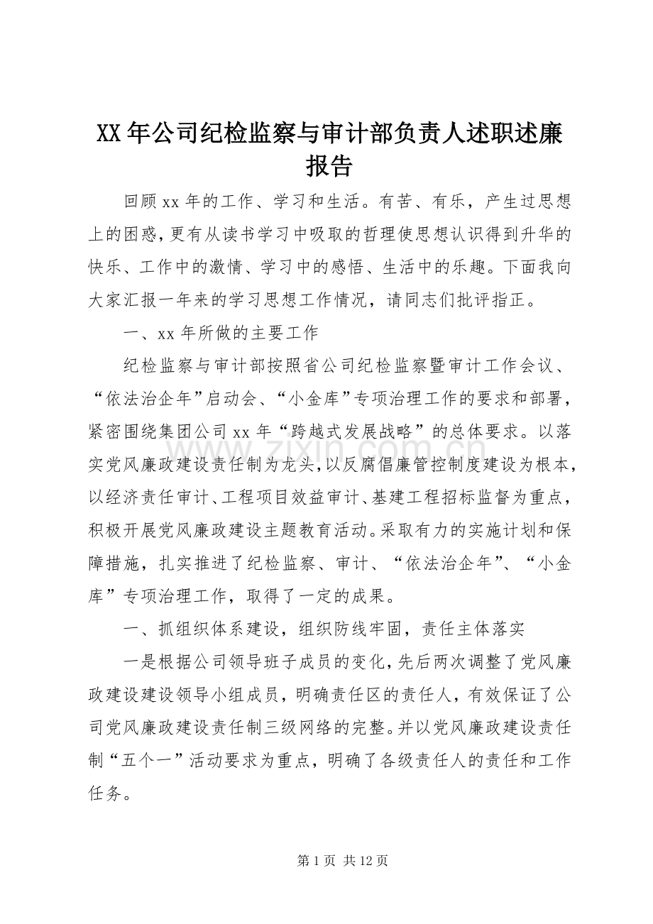 XX年公司纪检监察与审计部负责人述职述廉报告.docx_第1页