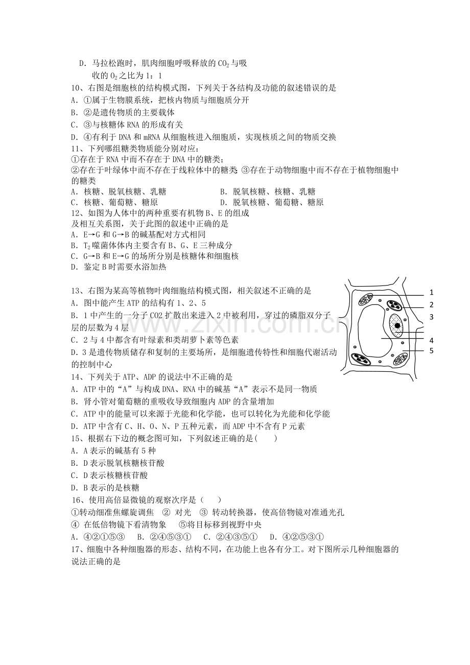 浙江省湖州市南浔2011高三生物11月月考试题无答案新人教版 .doc_第2页