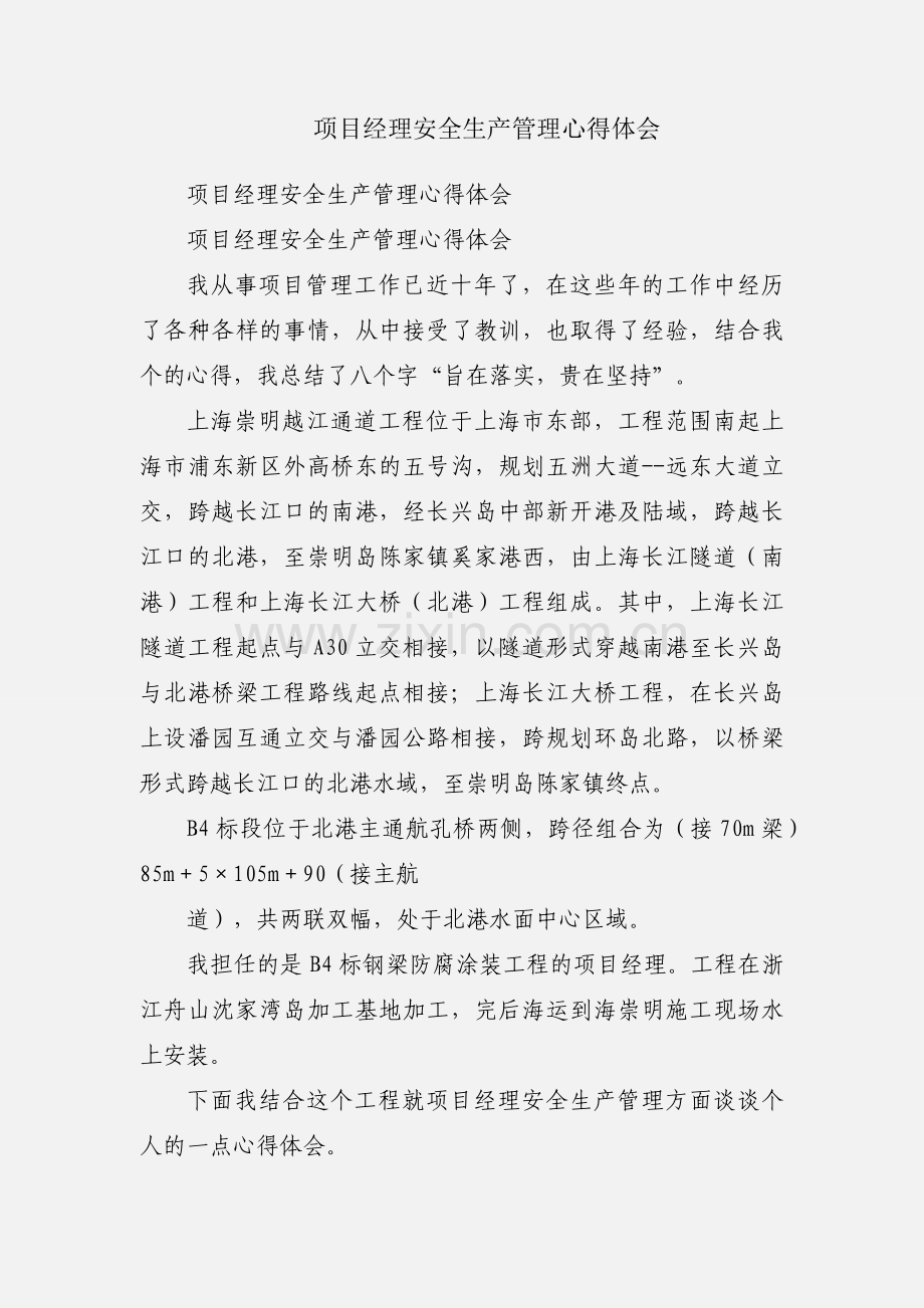 项目经理安全生产管理心得体会.docx_第1页