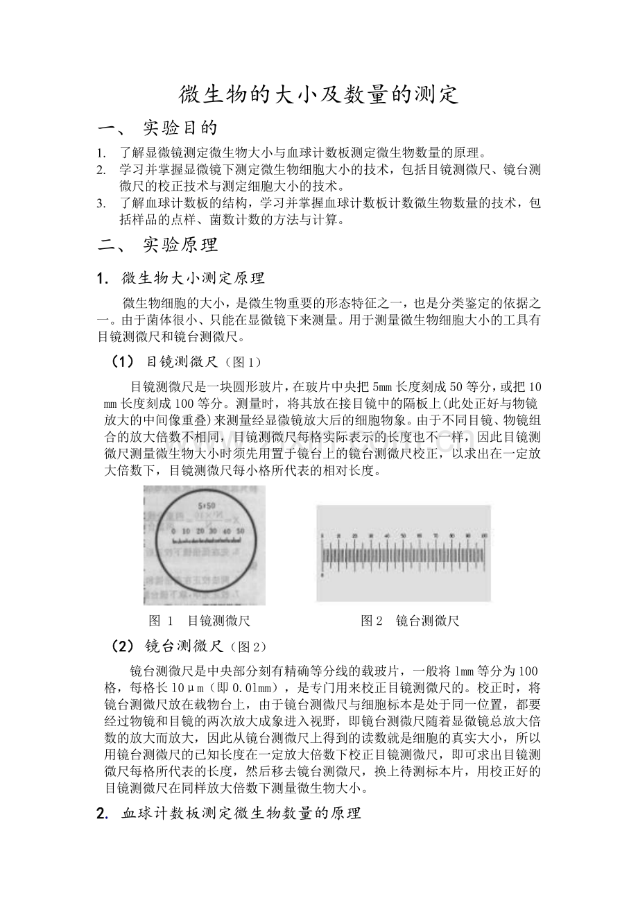 微生物的大小及数量的测定.docx_第1页