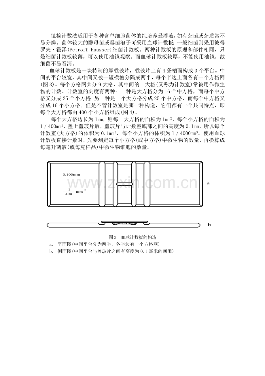 微生物的大小及数量的测定.docx_第2页