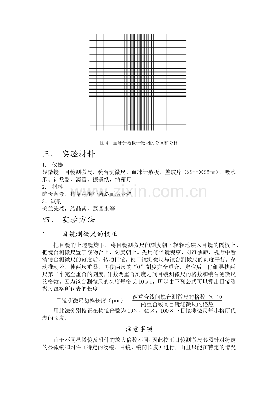 微生物的大小及数量的测定.docx_第3页