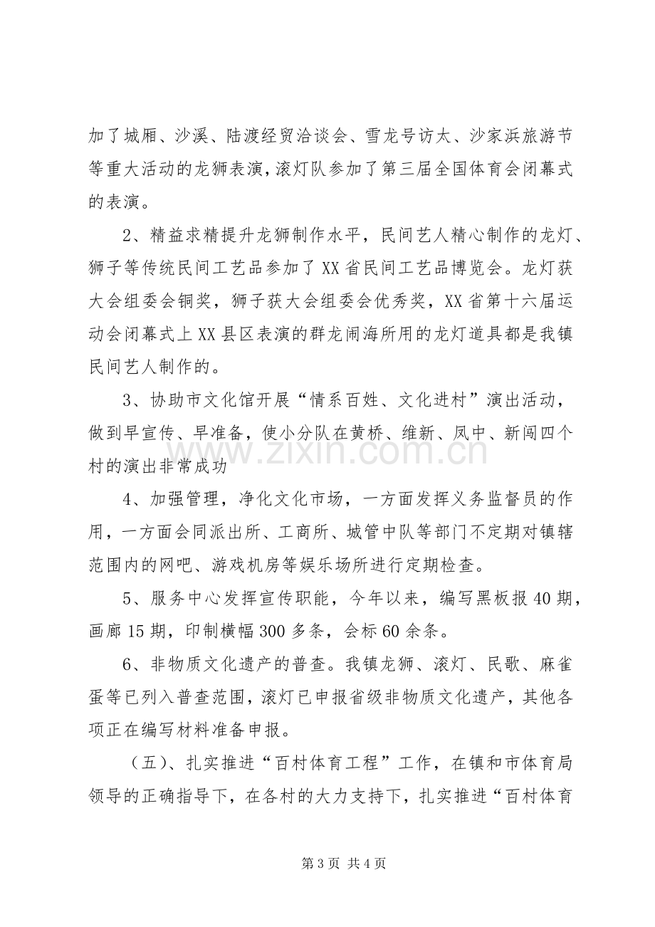 镇文化站站长述职述廉报告.docx_第3页