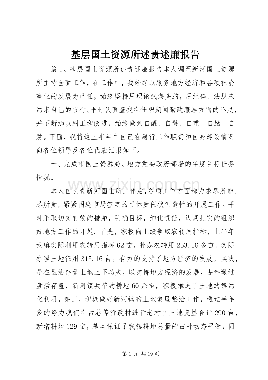 基层国土资源所述责述廉报告.docx_第1页